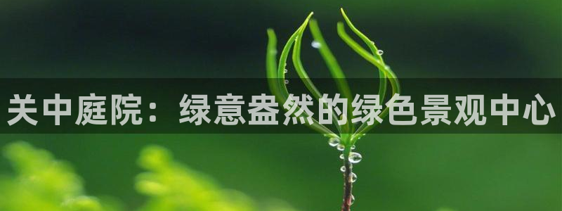 新宝gg投注