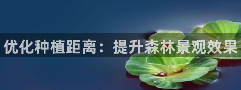 新宝GG最高返点多少