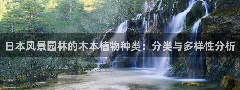 新宝gg测速