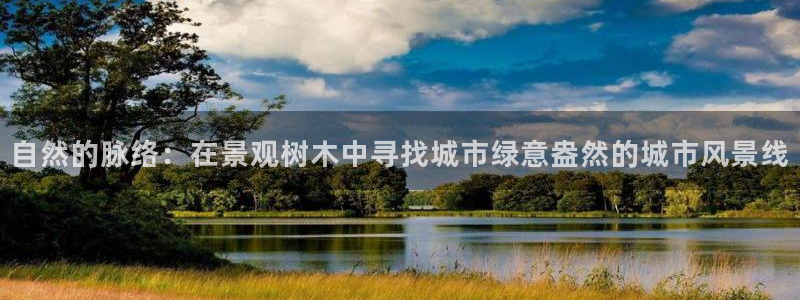 新宝GG创业奇迹：自然的脉络：在景观树木中寻找城市绿意盎然的城市风景线