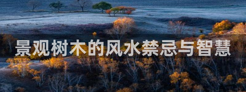 新宝gg 奇迹