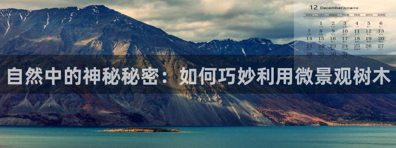 新宝6娱乐新宝gg