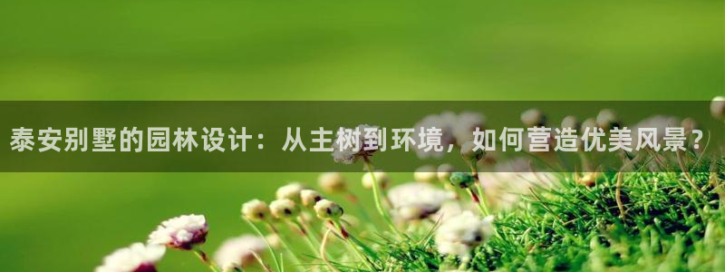 新宝太阳 gg