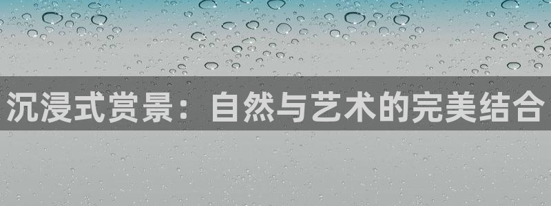 96新宝gg
