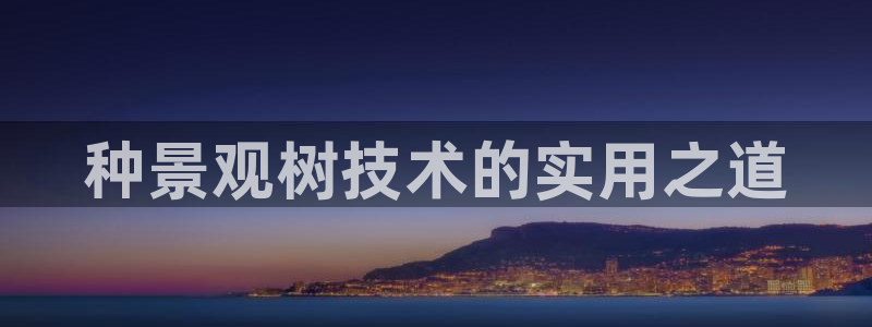 新宝哥gg