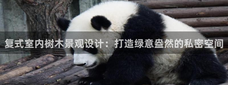 新宝gg最新章节