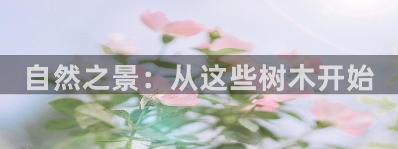 怎么下载新宝gg