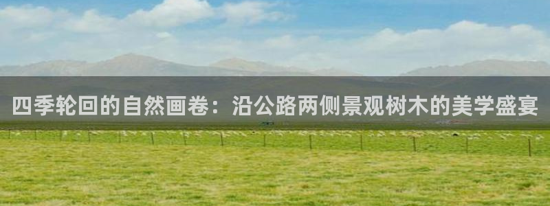 新宝GG创业奇迹