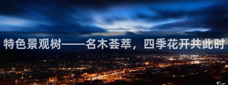 新宝gg   创造奇迹