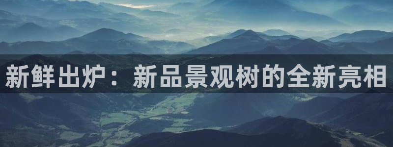 新宝gg平台连接