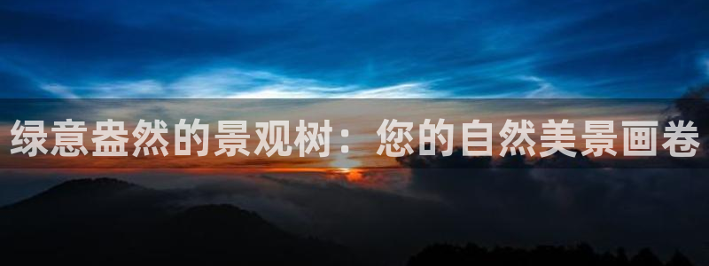 新宝gg返点模式