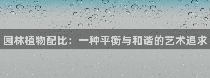 新宝gg创造奇迹平台