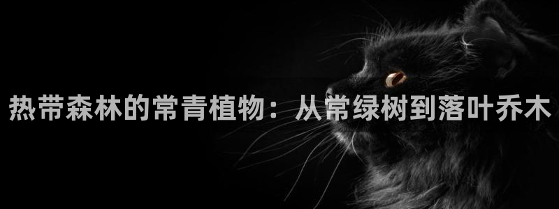 新宝gg新宝6:热带森林的常青植物:从常绿树到落叶乔木