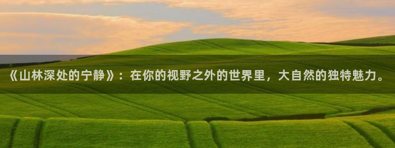 新宝gg网赚:《山林深处的宁静》:在你的视野之外的世界里,大自然的独特魅力。