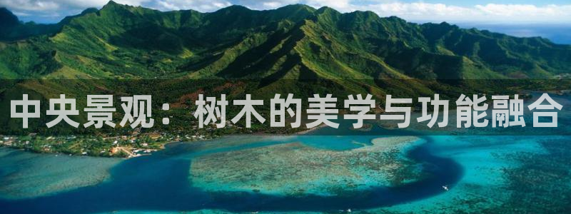 新宝gg平台开户