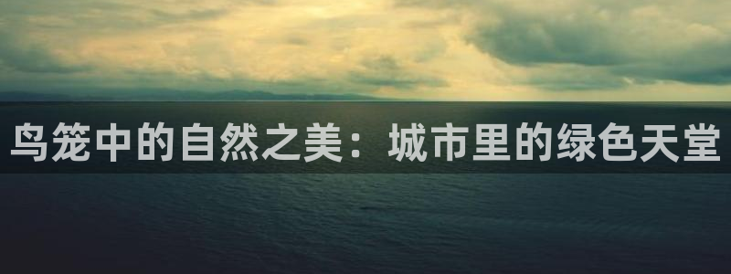 新宝GG厮78778:鸟笼中的自然之美:城市里的绿色天堂