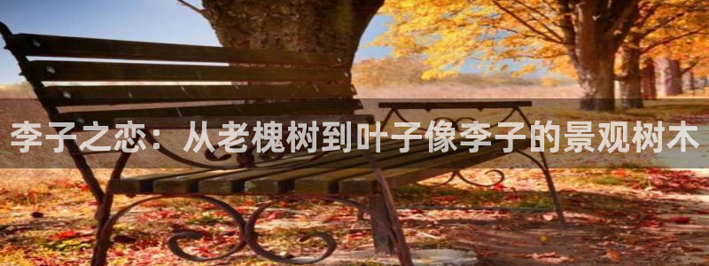 新浪新闻新宝gg