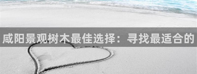 新宝gg信息