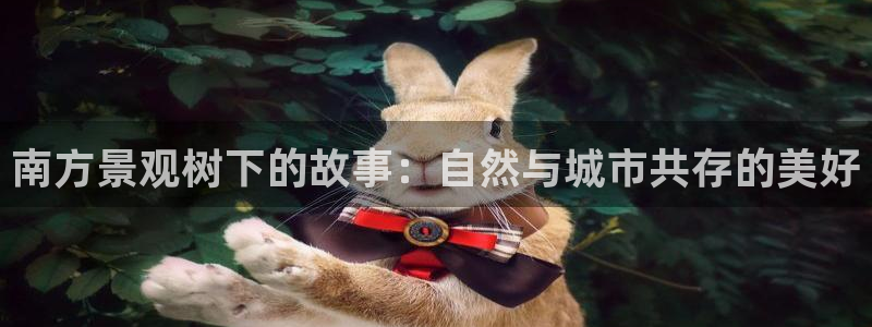 新宝gg平台连接