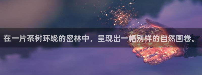 新宝gg直属上级