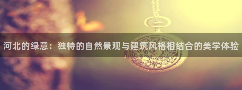 新宝gg漏洞