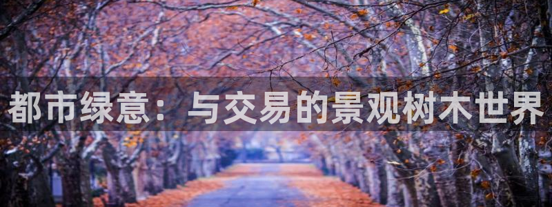 新宝gg棋牌