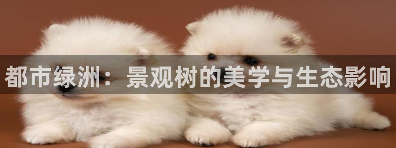 新宝gg平台开户