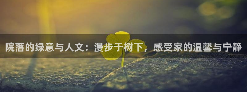 新宝gg主管 9