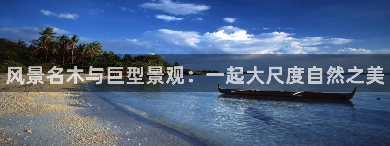 新宝gg 网址