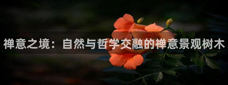 新宝gg用哪个浏览器
