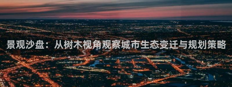 新宝gg什么