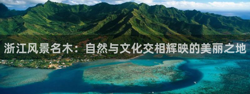 新宝Gg测速地址