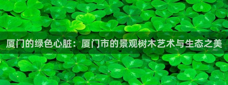 新宝GG上级