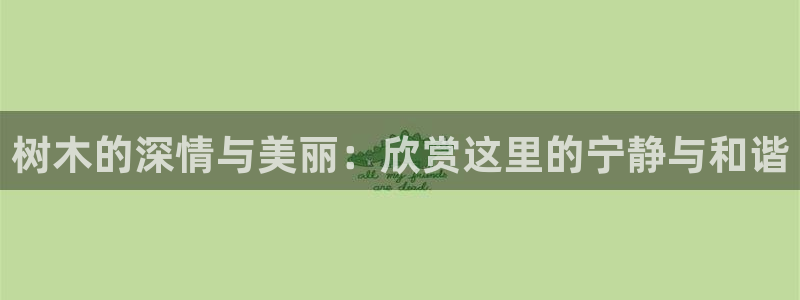 新宝 gg最新