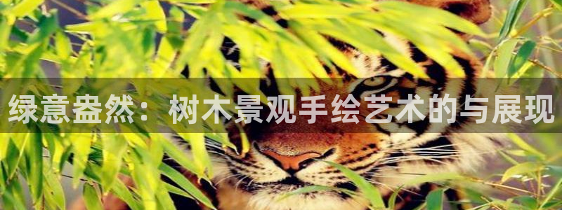 新宝GG链接