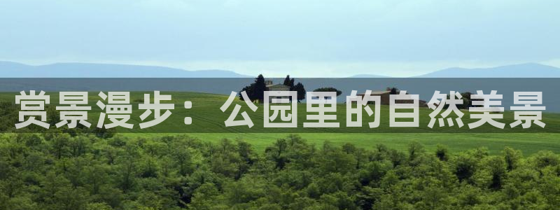 新宝gg注册新宝GG注册登录：赏景漫步：公园里的自然美景