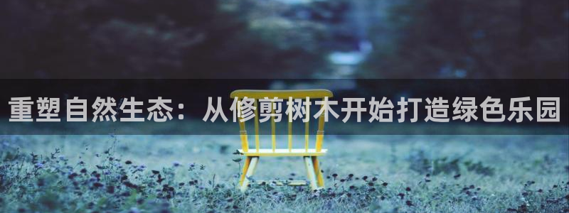 新宝gg介绍