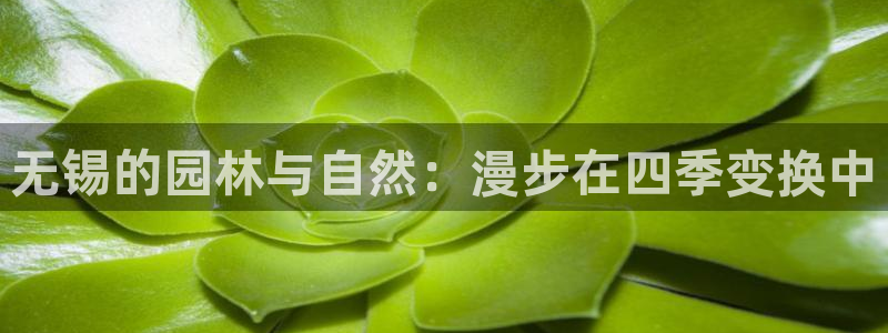 登录新宝GG:无锡的园林与自然:漫步在四季变换中