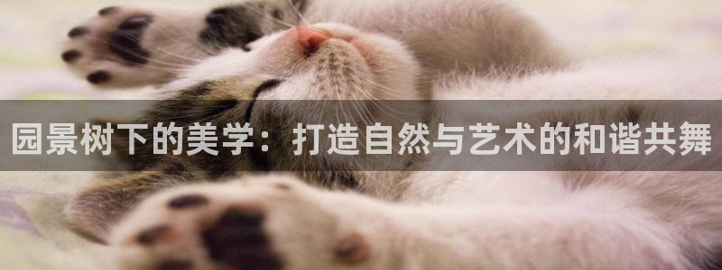 创造奇迹新宝gg