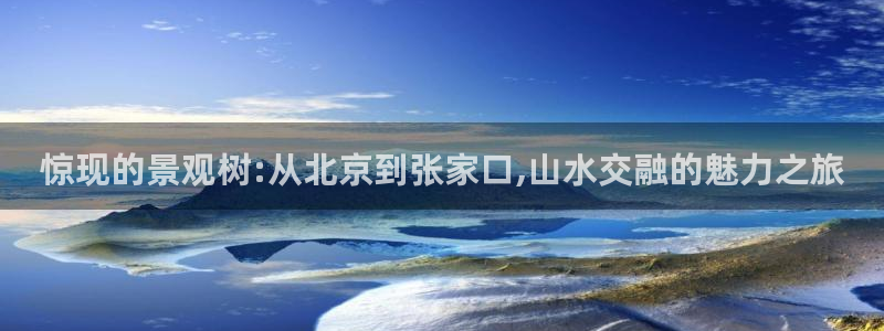 新宝gg评论：惊现的景观树:从北京到张家口,山水交融的魅力之旅