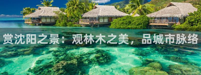 新宝GG冰冰