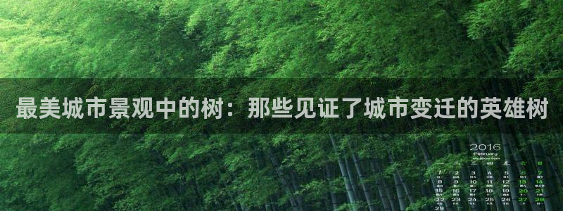 谁有新宝GG:最美城市景观中的树:那些见证了城市变迁的英雄树